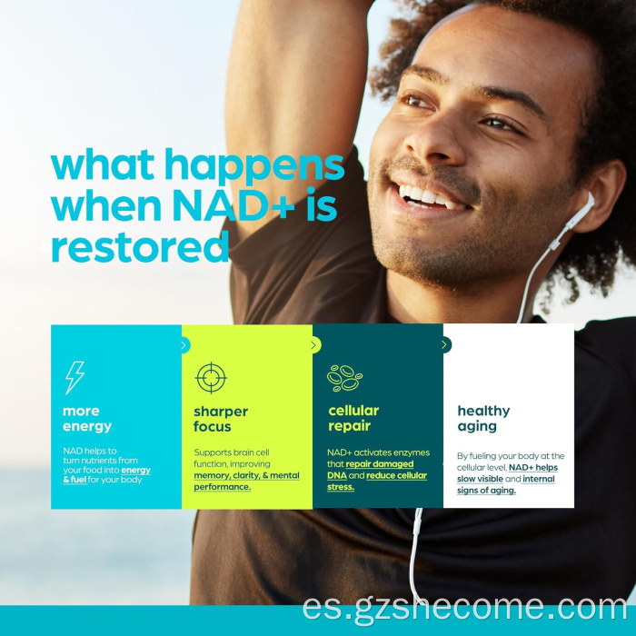 Suplemento NAD de alta resistencia con té verde astaxantina